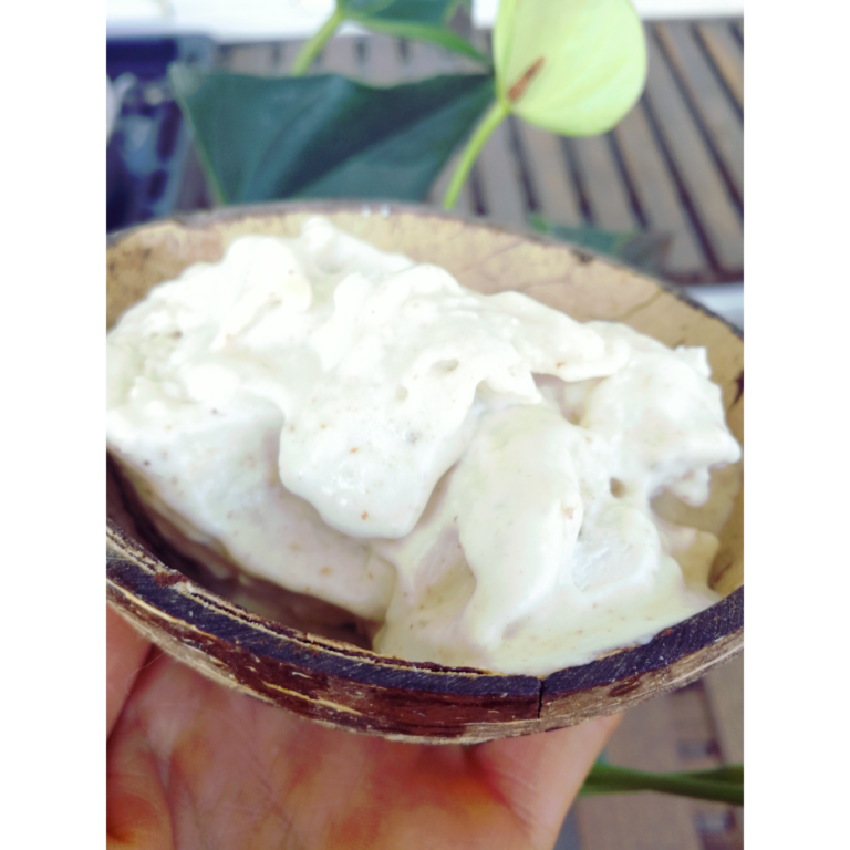 Szybkie wegańskie lody kokosowe